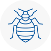 Bed Bug Extermination In Garforth