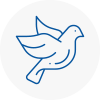 Bird Prevention Garforth