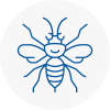 Garforth Hornet Nest Removals