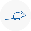 Mice Exterminators In Garforth