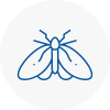 Moth Control Specialists In Garforth
