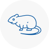 Rat Control Garforth