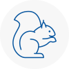 Garforth Rodent Removals
